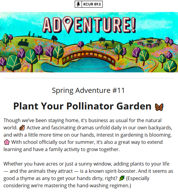 Screenshot_2020-06-16 KCUR Creative Adventure 🦋 Plant Your Pollinator Garden